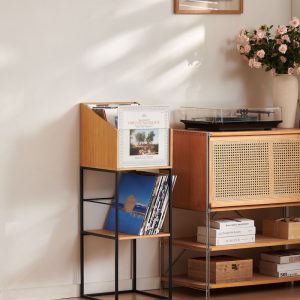 norstone LP stand